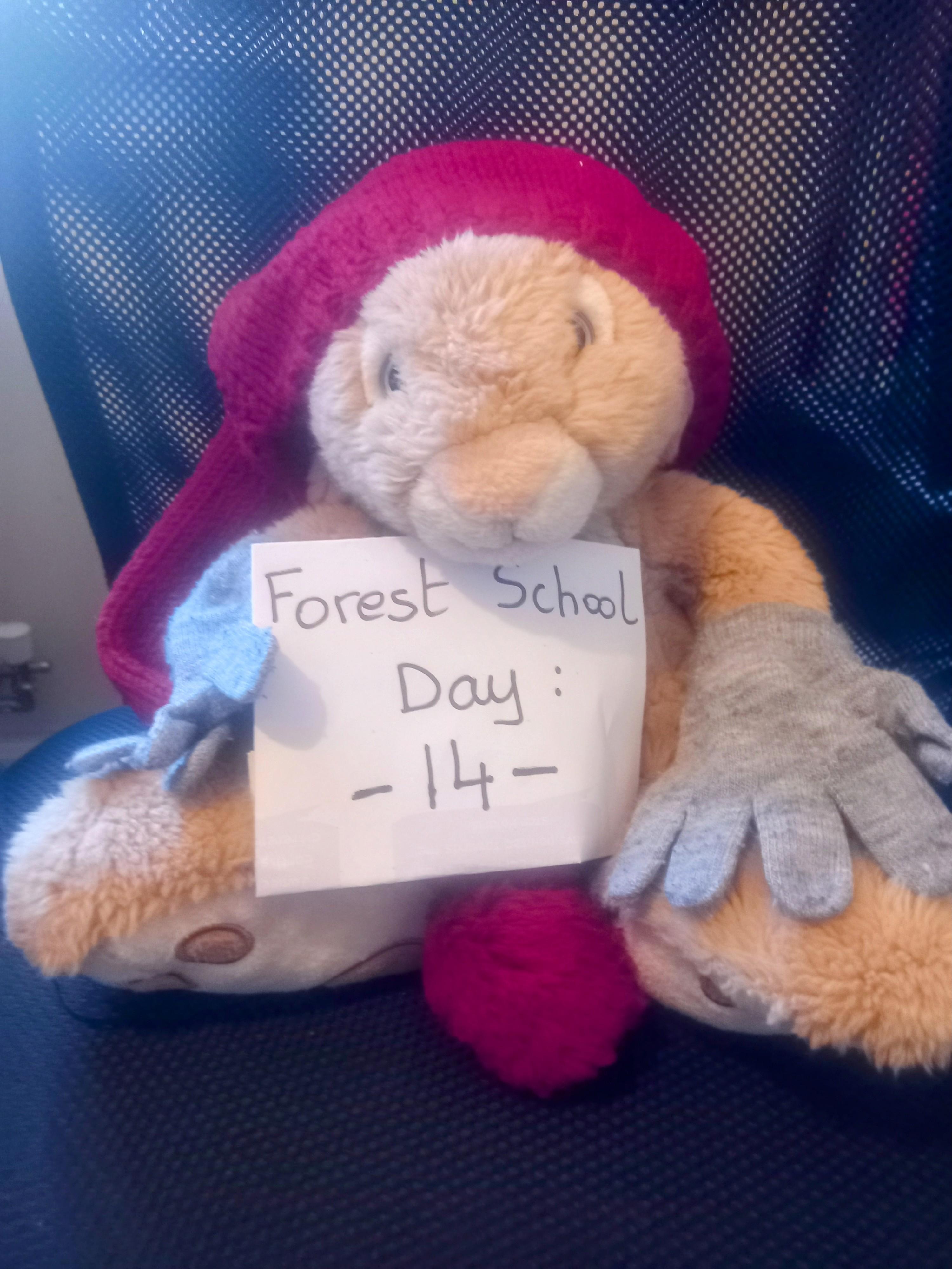 My name is Carotte and I can't wait to go back to Forest School !
